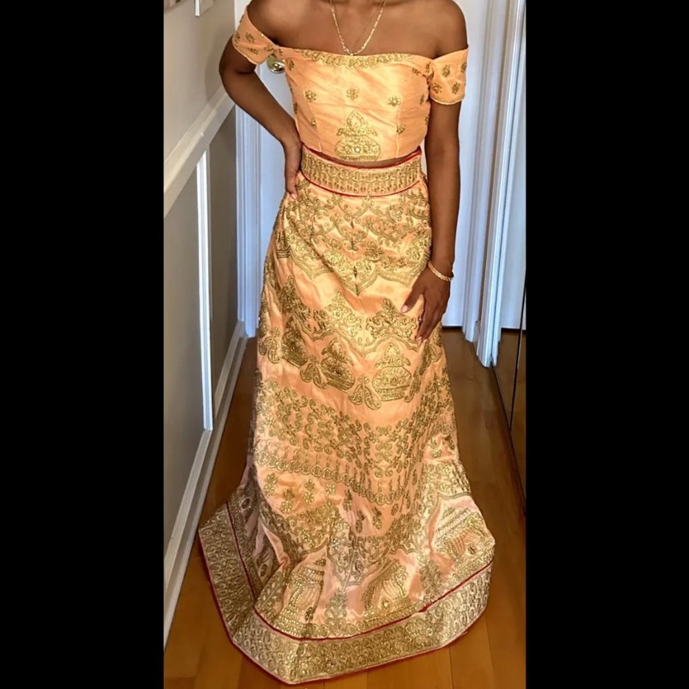 Light Pink / Salmon & Gold Off the Shoulder Saree / Sari / Lehenga